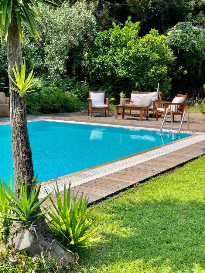 Gialos Villas 1-2 With A Private Pool ميكروس جيالوس المظهر الخارجي الصورة